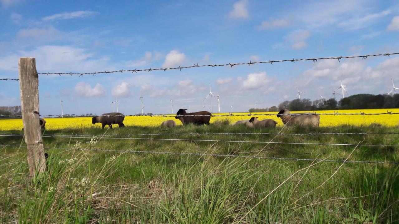 Ferienwohnung Wattkieker Büsum Dış mekan fotoğraf